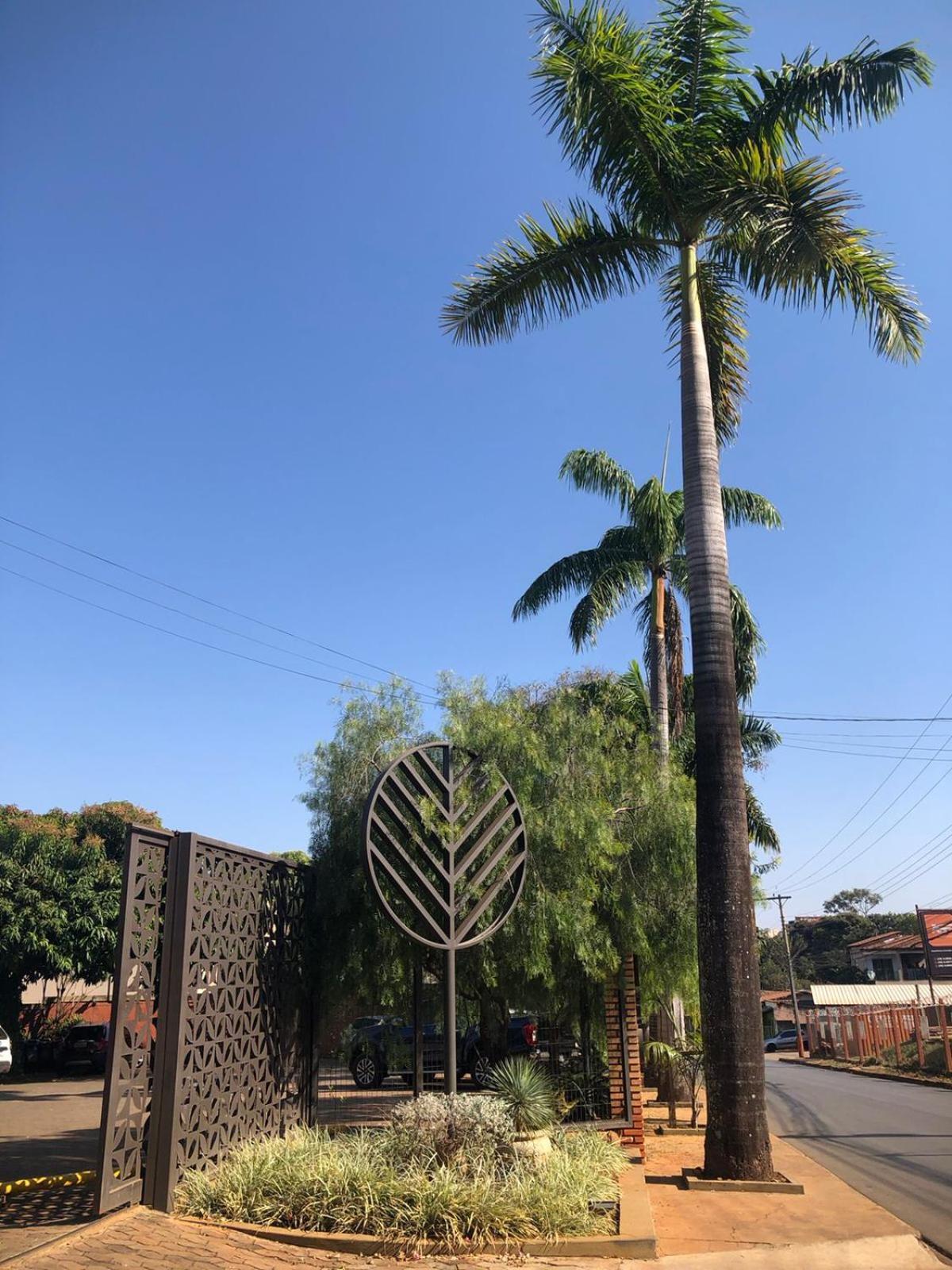 פראקטו Hotel Das Palmeiras מראה חיצוני תמונה